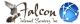 Falcon Internet Services Inc.