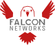 Falcon Networks S.A.