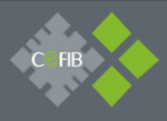 CEFIB services