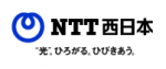 NTT West VPN service